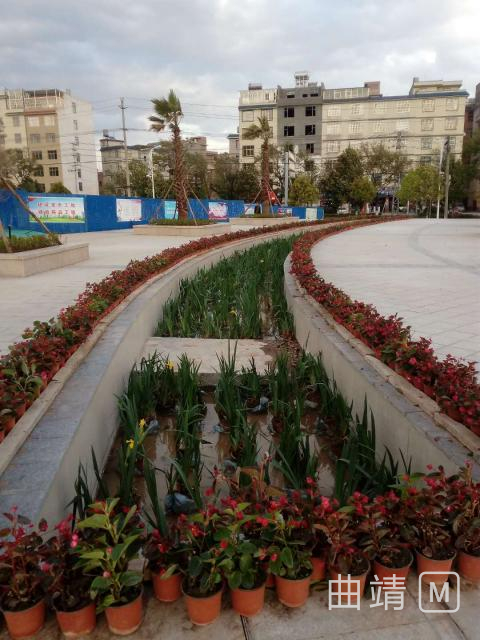 沾益玉林山公园,曲靖沾益玉林山公园