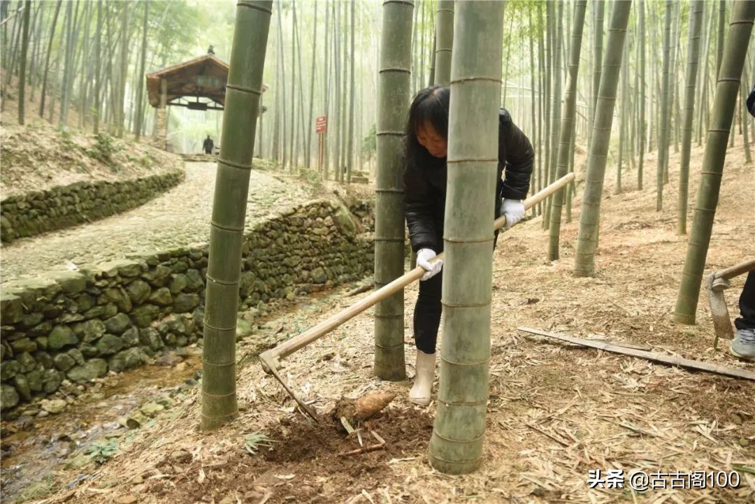 萧绍古道沿途风景,萧绍古道难爬吗