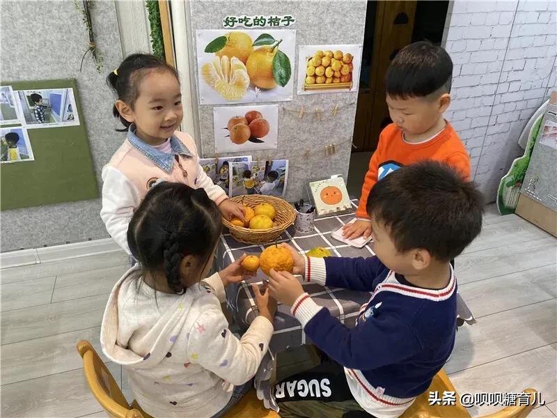 小班课程故事《好吃的桔子》