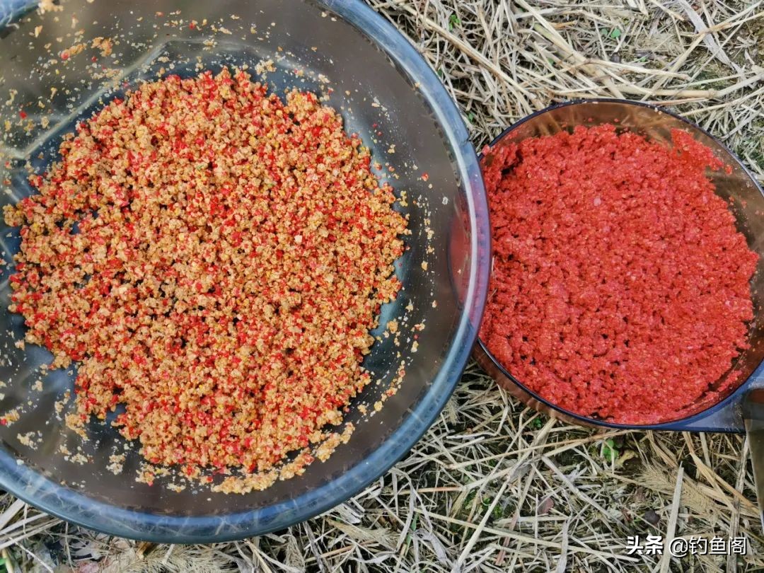 酒米打窝可以招鲤鱼吗,酒米打窝能钓鲤鱼吗