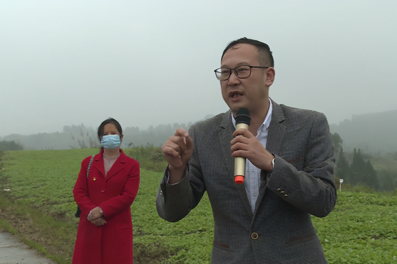 南充嘉陵区龙蟠,四川省南充市高坪区龙蟠镇