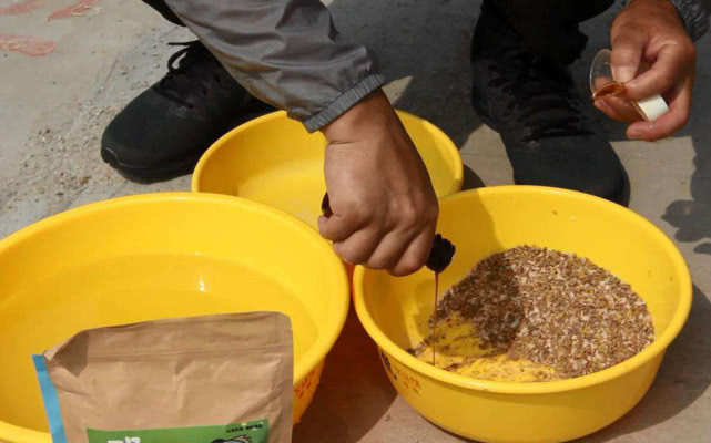 钓鱼小药人吃了有危险吗,小药野钓是不是智商税