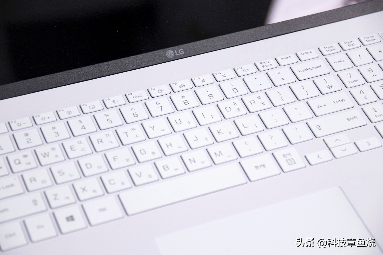 lggram17评测19款,lggram172021