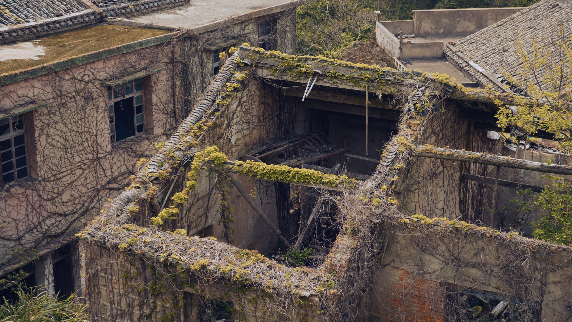 浙江嵊泗列岛三日游,嵊泗四日游旅游攻略
