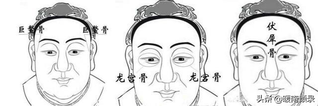 头生九龙骨,头生九龙骨是什么样