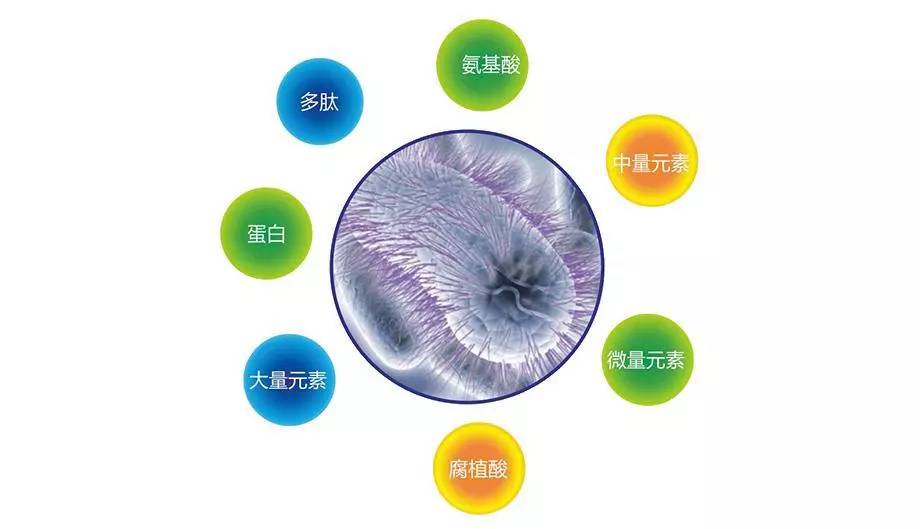 装修常识:幼儿园装修有异味?!这些方法教你轻松祛除......