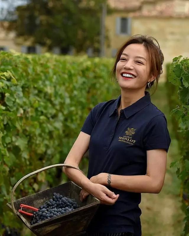 赵薇法国酒庄现状,赵薇购买法国酒庄是真的吗