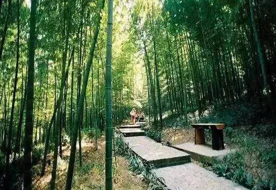 在镇江居住生活利弊分析,在南京生活中容易产生哪些错觉