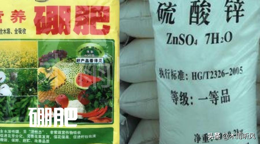 硼肥都有什么作用,硼肥加锌的作用
