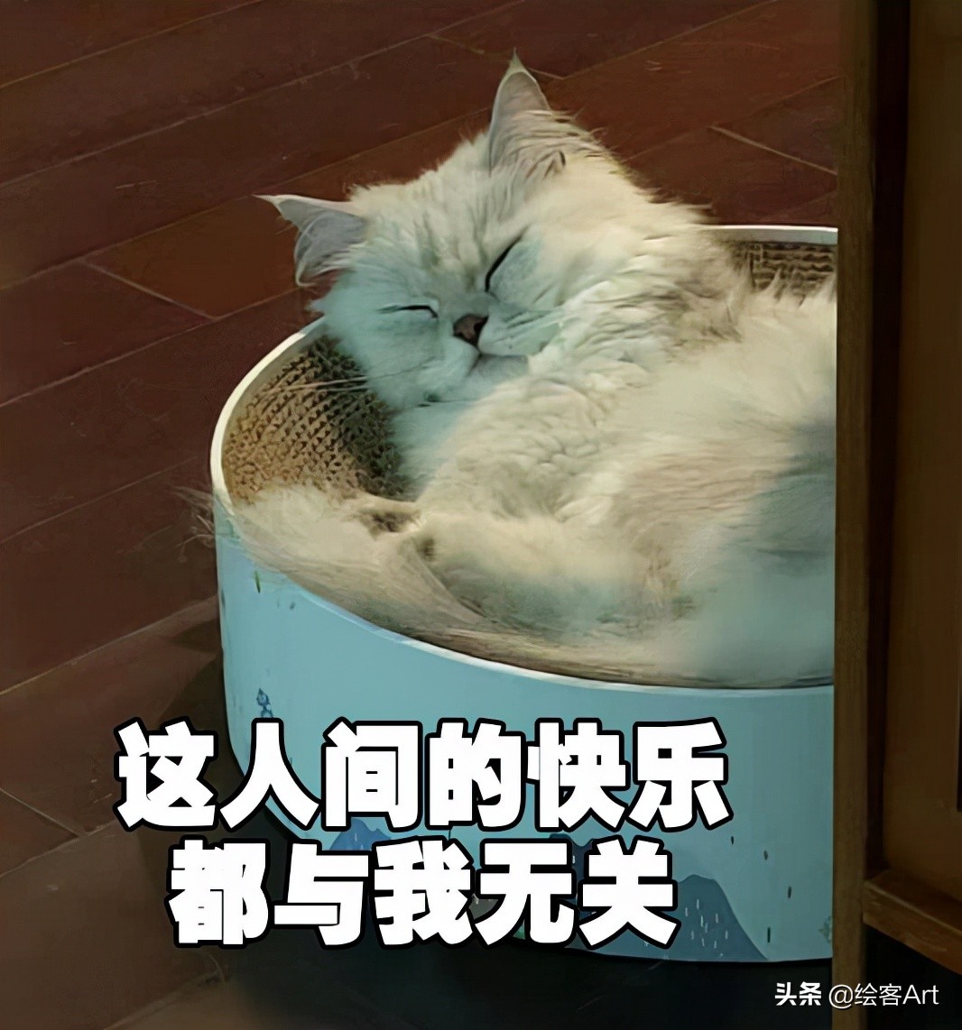 带着iPad去旅行，边走边画，体验散着热乎气儿的人生百味