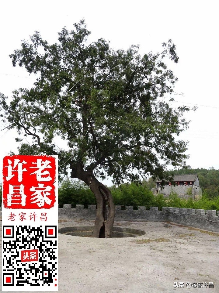 一个人行走在神秘的古建筑里,一个人行走在神秘的古建筑