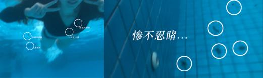 xplorasia：旅游倒霉鬼的旅游囧记（下）