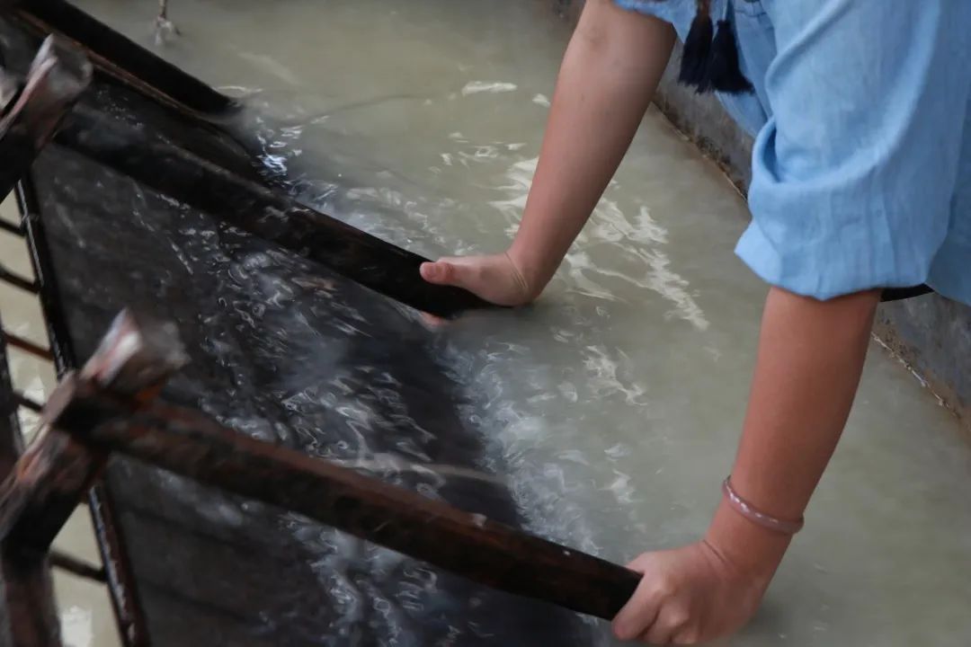 这是一个生机勃勃的地方关于它的故事才刚刚开始