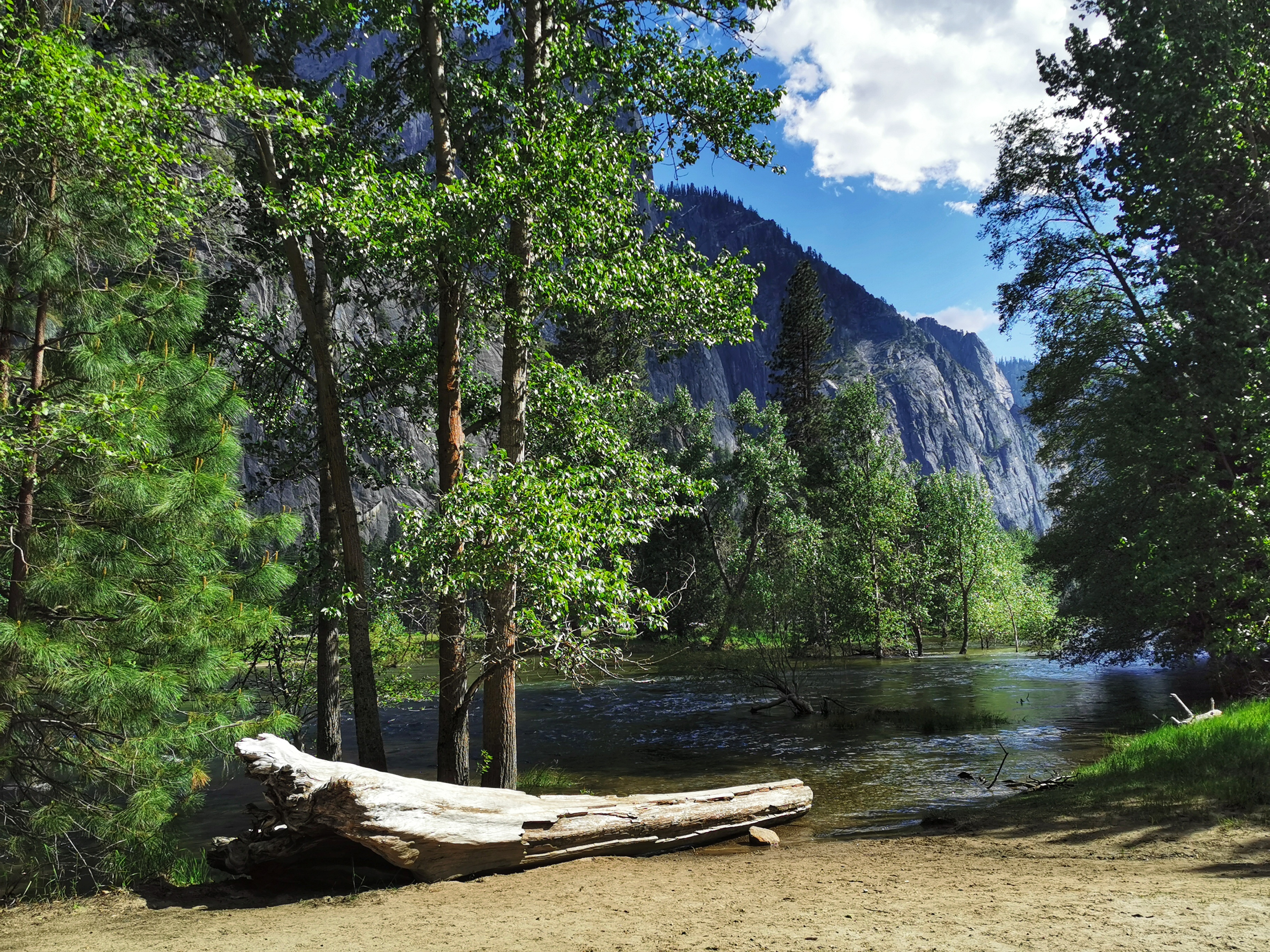加利福尼亚优胜美地,美国旧金山优胜美地