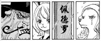 为什么说加洛特是草帽团的第十人 (加洛特是草帽海贼团的第十人)