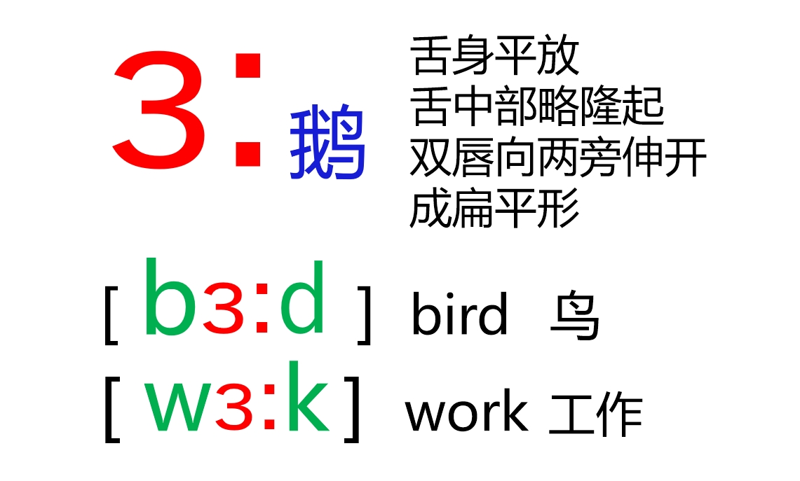 48个音标全套卡片作用,英语音标卡片48个正确发音嘴型