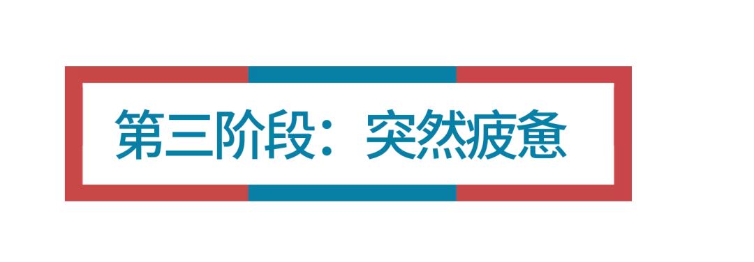 开服15天，我玩《动物森友会》总结的39条教训
