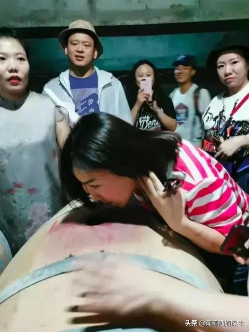 宁夏酒庄之旅,银川酒庄之旅