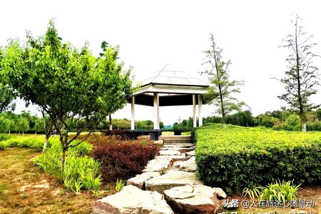 南京面积最大的公园，美不胜收却被游客忽略