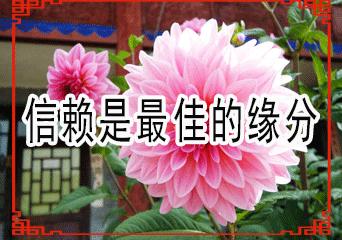 一份暖心的问候致我牵挂的朋友,真心的祝福送给每一位真心的朋友