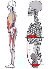 怎么能快速治疗肋骨外翻,如何矫正肋骨外翻