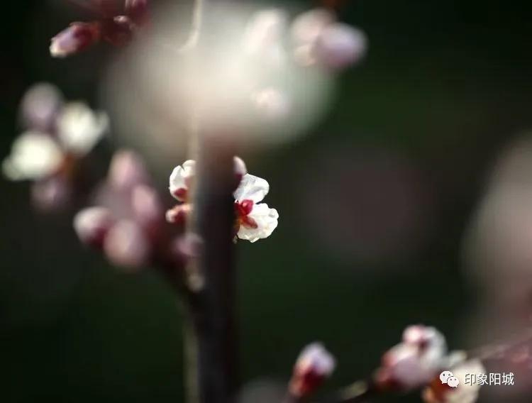 晋城哪里可以春游,晋城附近春游景点