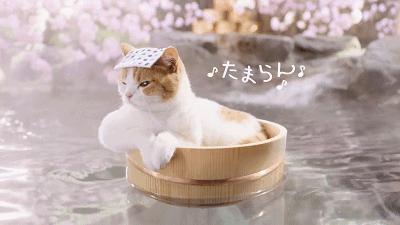 昌平自驾游京郊最佳好去处,北京昌平区冬季旅游