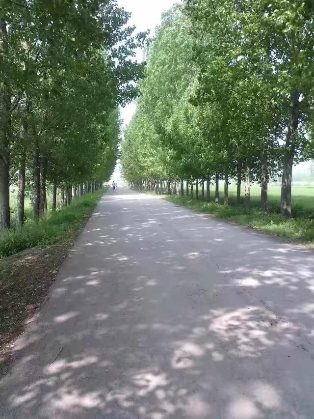 我与外婆的记忆,小时候我的外婆