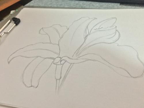 专业技能测试面试,幼儿教师面试技能测试