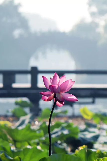 李阳民撰七律,李养民古诗