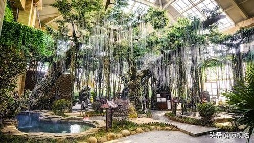 2021天津泡温泉的地方,冬天天津温泉排行榜前十名