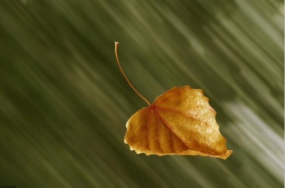 期货交易中怎么尊重市场,如何在期货市场中找到自信