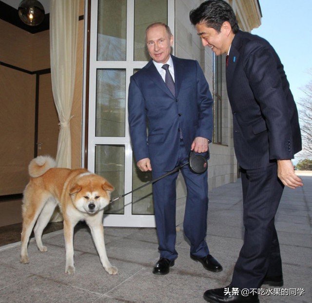 被宠物咬伤的正确处理图片,被宠物咬伤怎么办