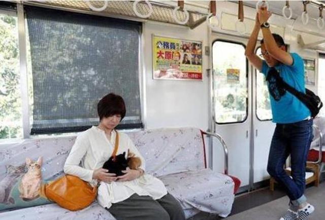 日本猫咪咖啡列车,日本火车站猫咪