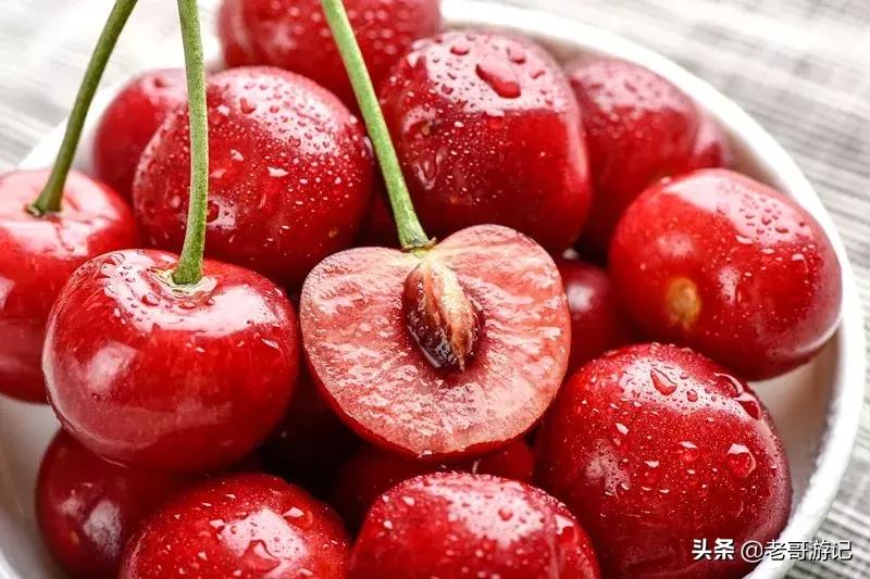 海阳小樱桃采摘季节,乳山市的大樱桃能摘吗