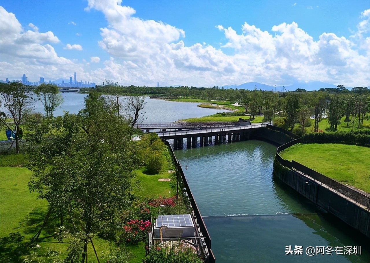 深圳一日游必去的十个免费景点,深圳一日游必去十大网红景点