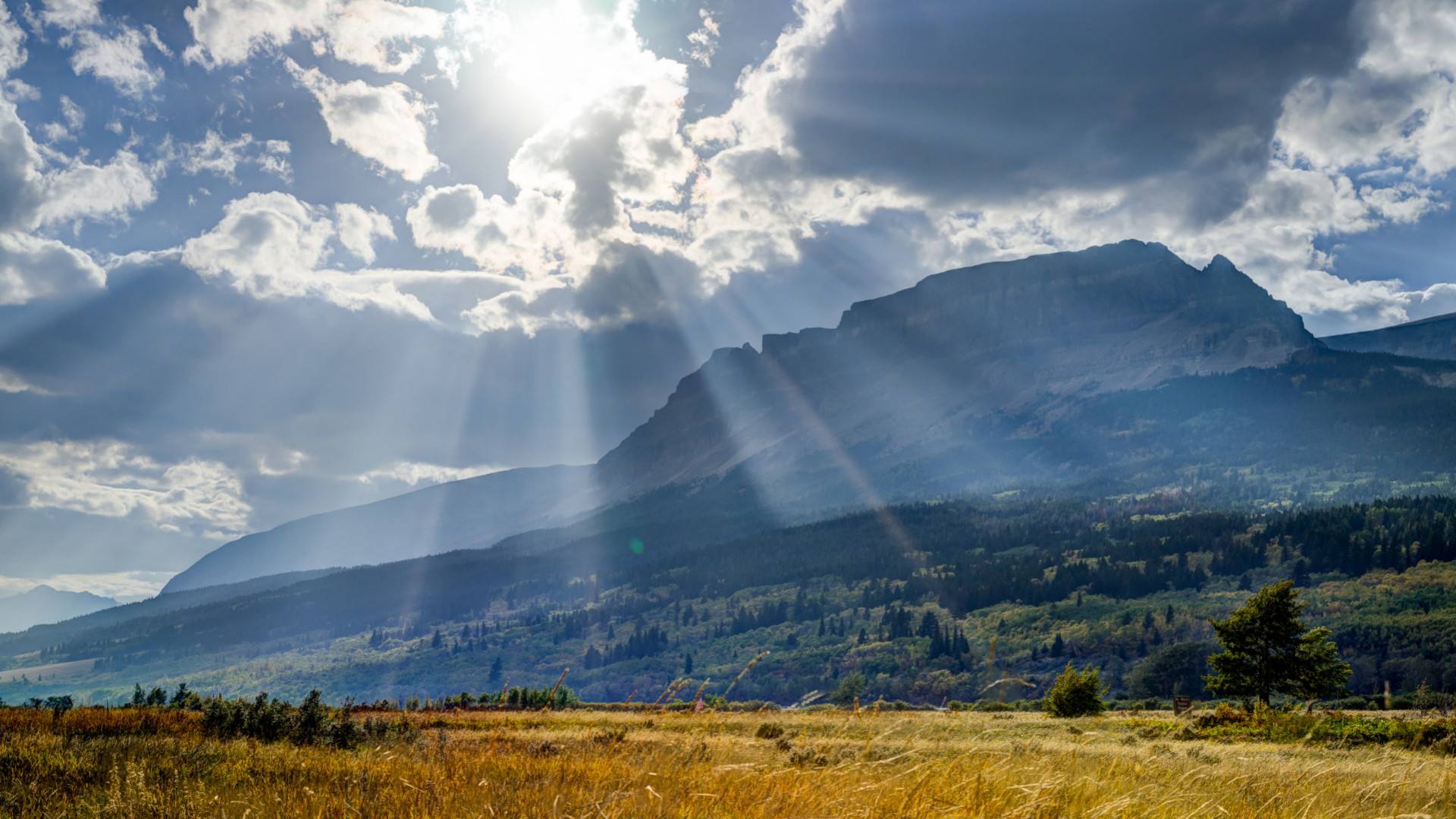 如果和女朋友分手了如何追她回来,女朋友说不合适分手怎么挽回