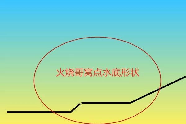 2019钓鱼日记,钓鱼笔记视频