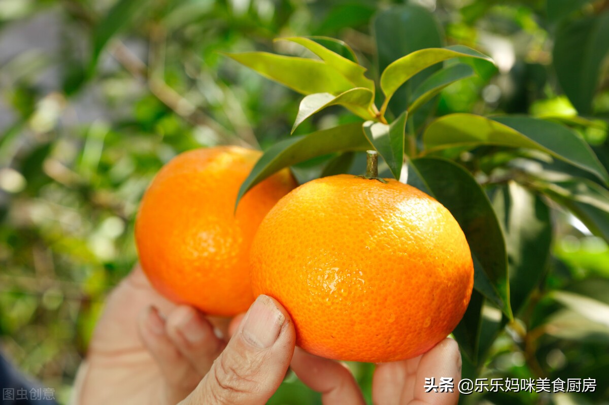 全国最好的橙子品种,全国哪的橙子最好吃