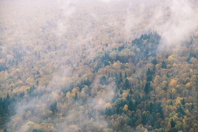 富士小巧轻便,富士轻便的相机