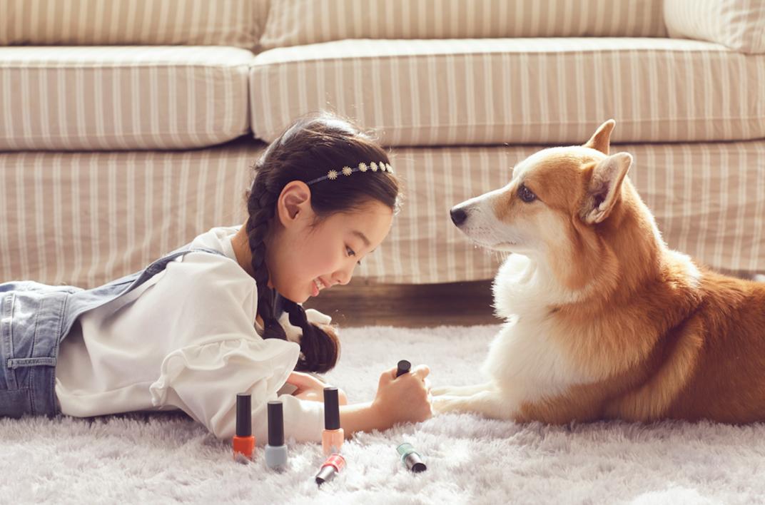 医生5天出师、35万加盟宠物店,谁在拿“毛孩子”肆意收割?