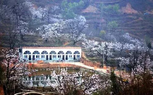 安徽春天去哪看花,安徽春天赏花攻略景点推荐