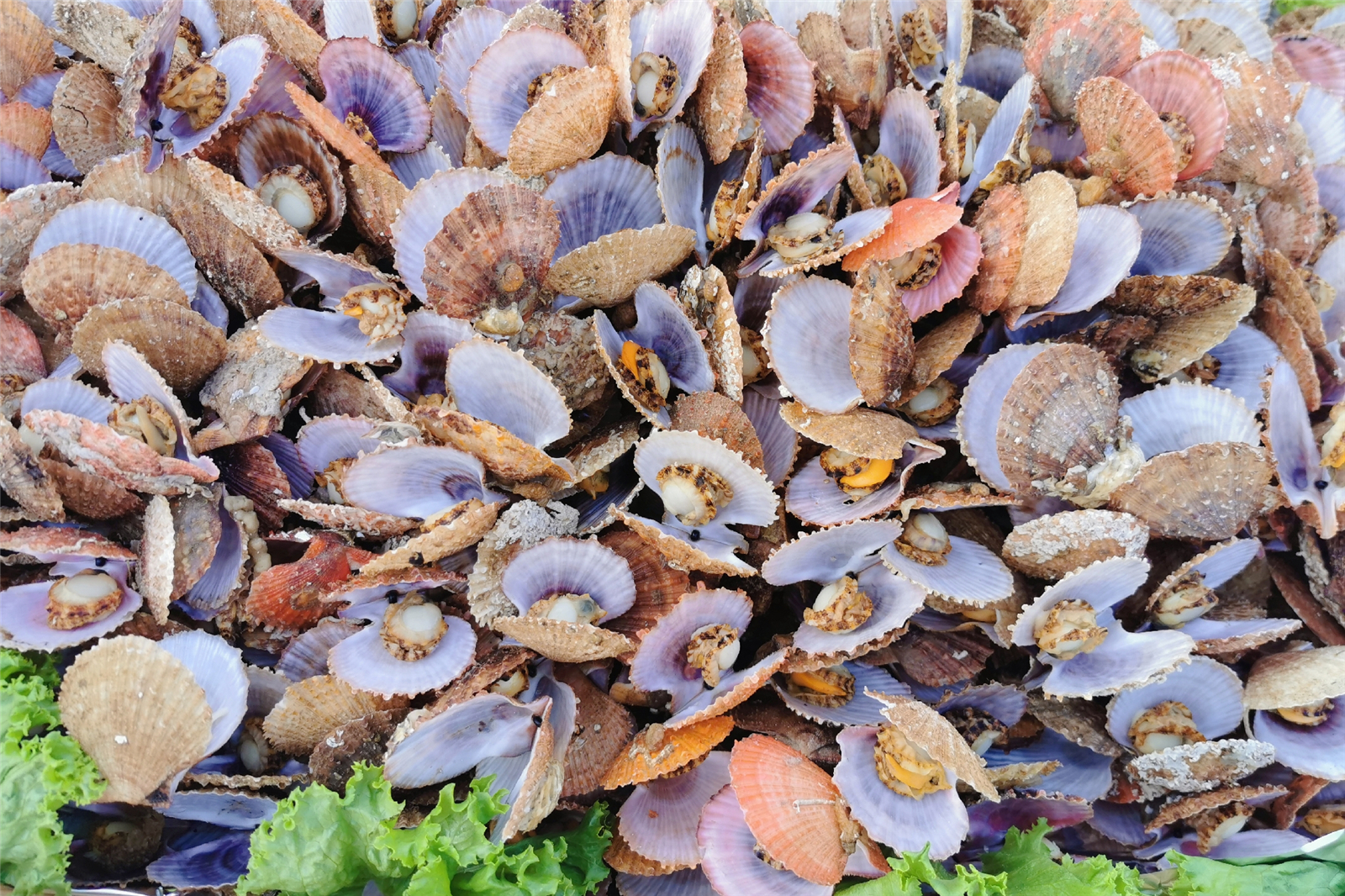 山东长岛旅游攻略,山东长岛旅游攻略自由行