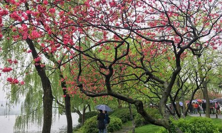 浜曞唸绾㈠鐪熷疄鐓х墖,浜曞唸绾㈠鏄摢閲屼汉