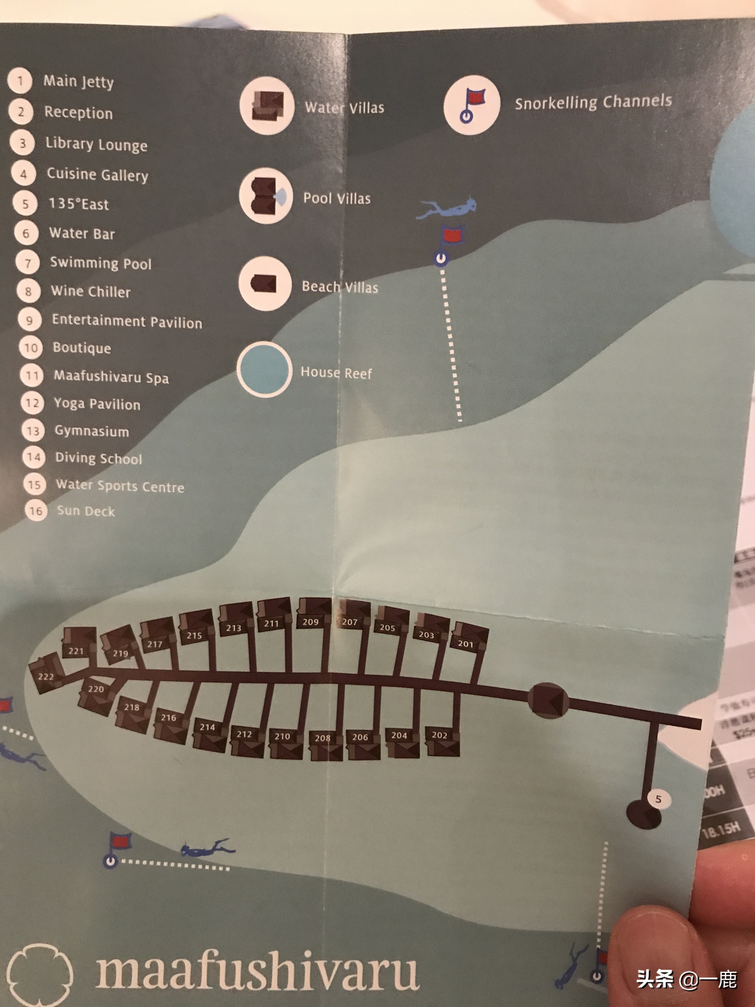 马尔代夫马富士岛攻略,马尔代夫马富士瓦鲁岛游玩攻略