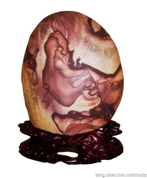 走进长江石---------芙蓉石