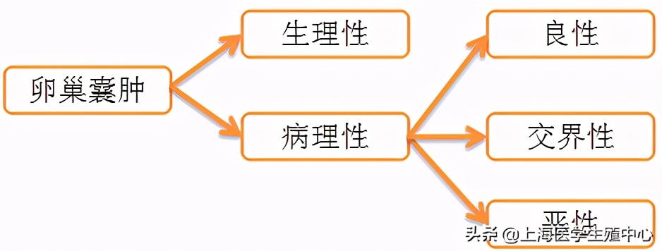 孕三个月卵巢囊肿,卵巢囊肿会影响肺吗