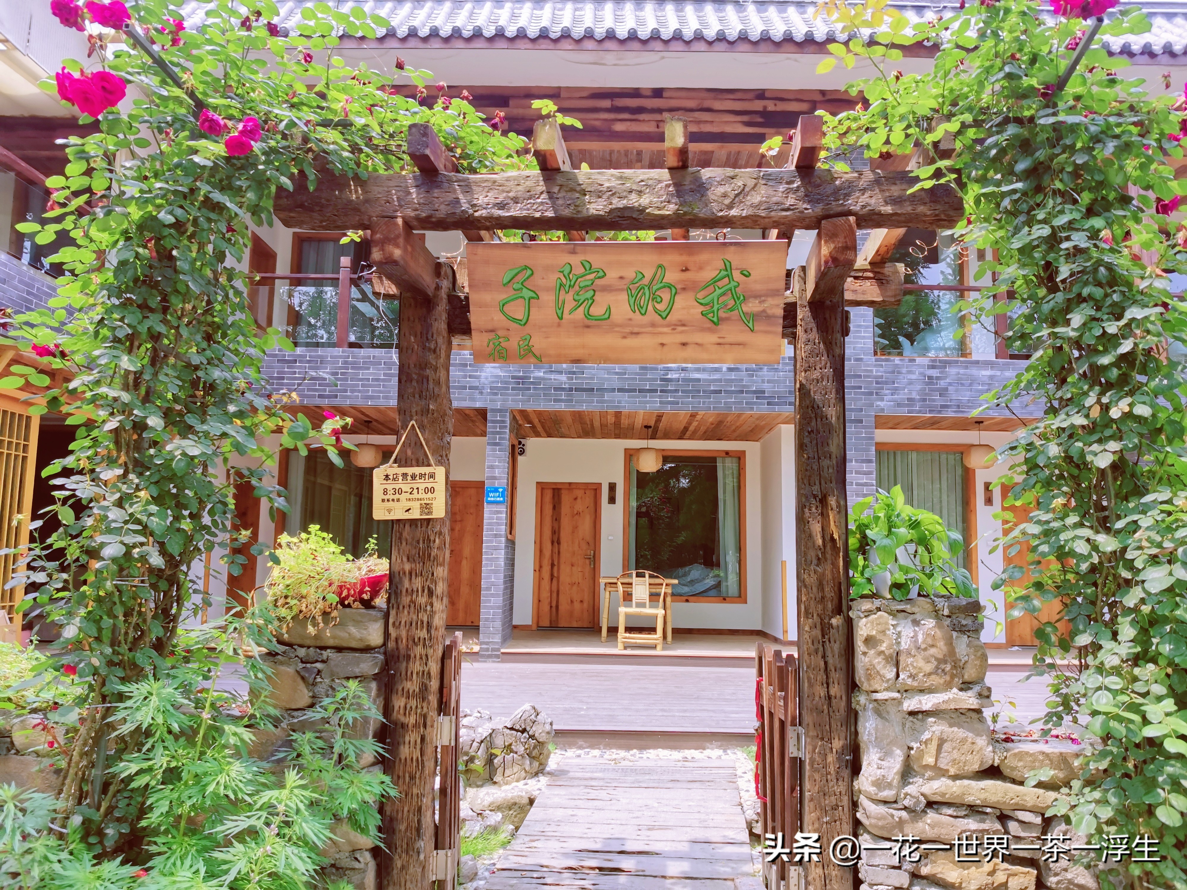 寻找巴适的成都小院（2）