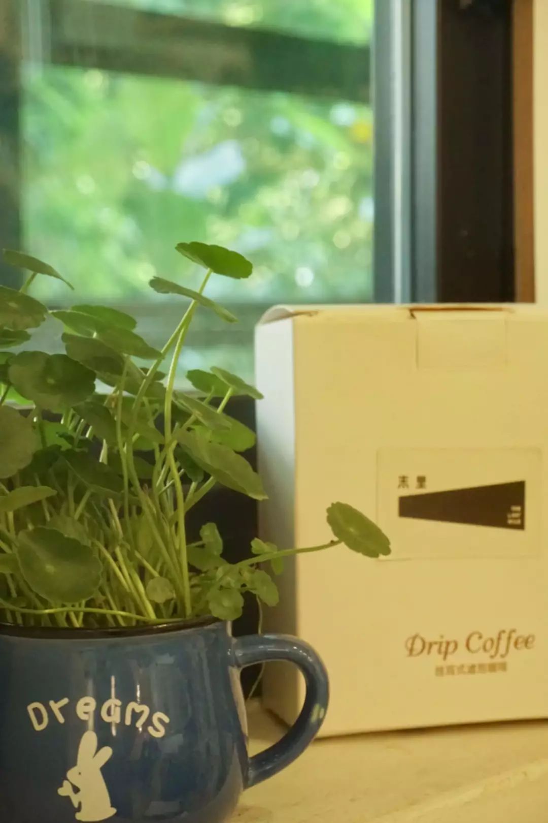 花椒、蛋烘糕和肉桂，对头，这里是咖啡店