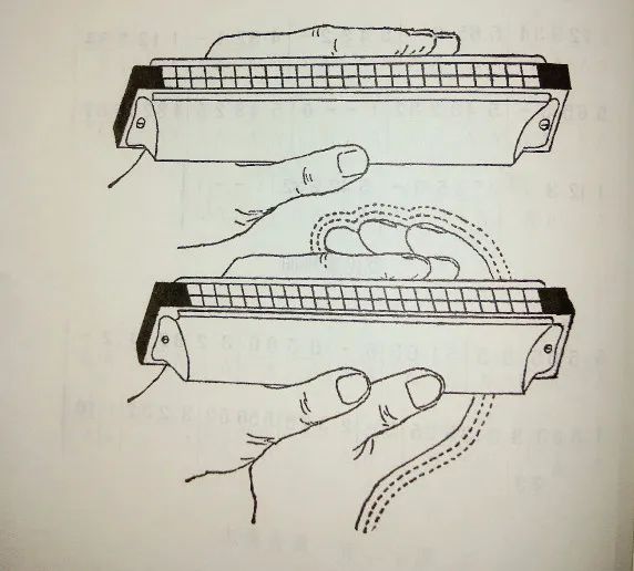 想学吹口琴零基础能学会吗,3分钟学会24孔口琴吹好